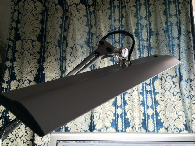 Z-Light2.jpg
